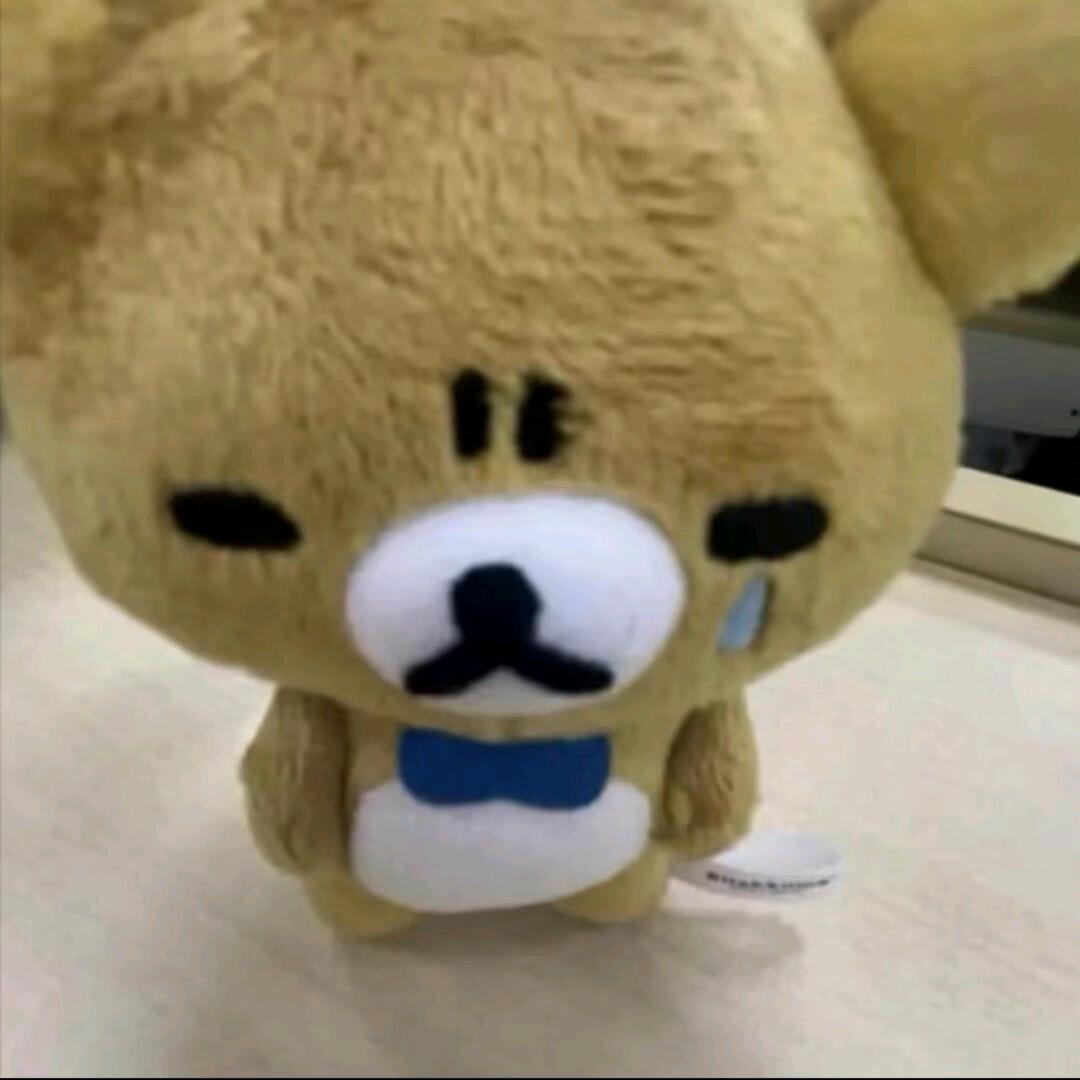 ⁺✞ʚ小熊重度依赖ɞ✟₊