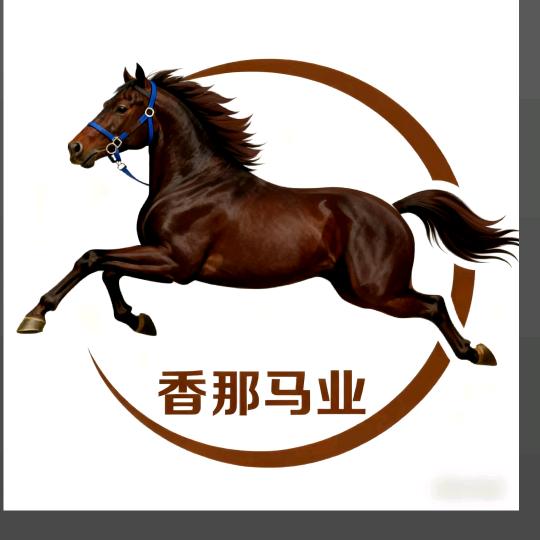 桑兵邓珠