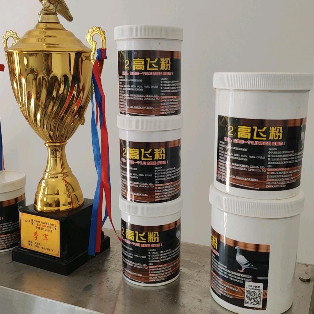 东升红狐鸽舍-王非凡