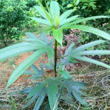 让³ꦿ心归🌺꧔⁰零💞²