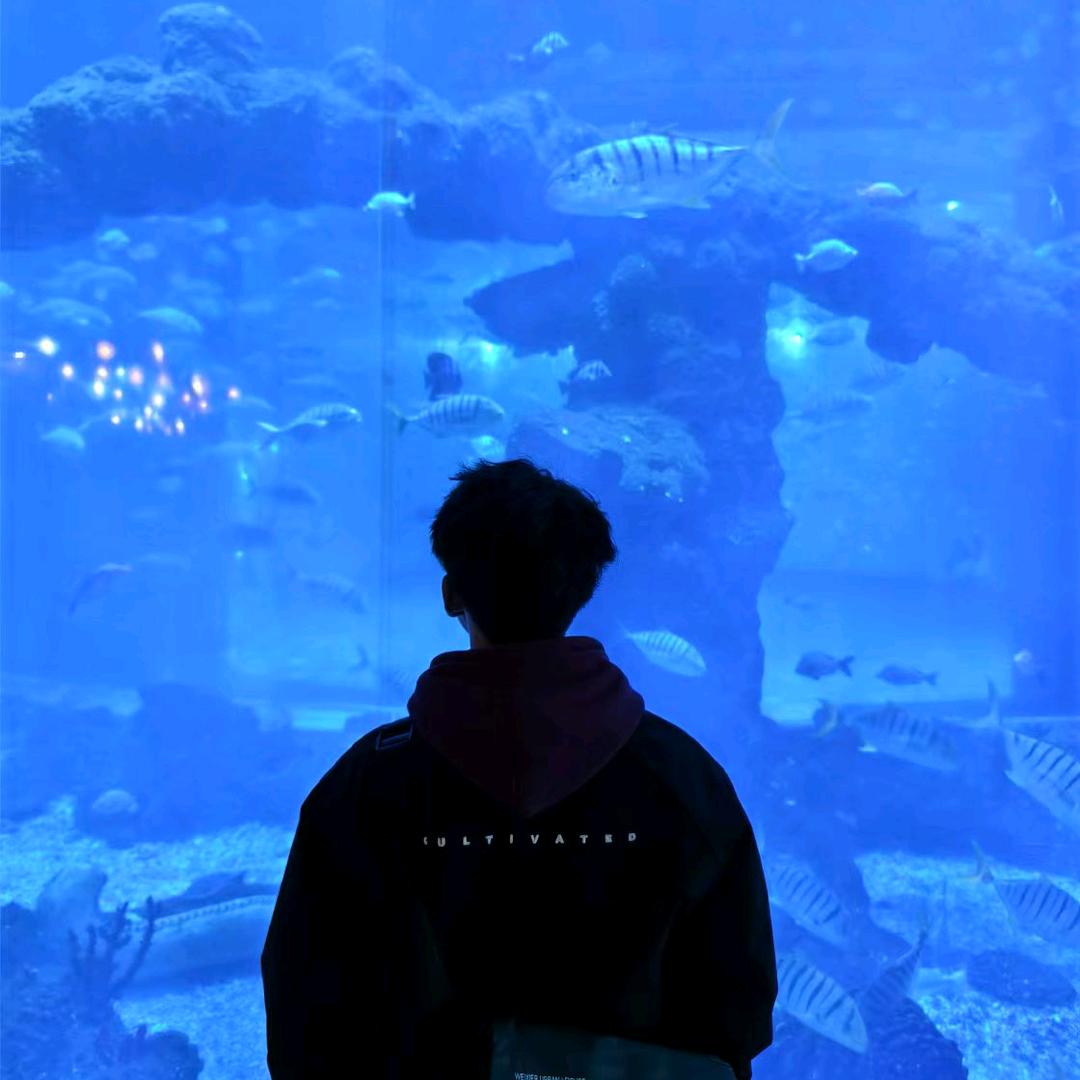 @努力努力再努力