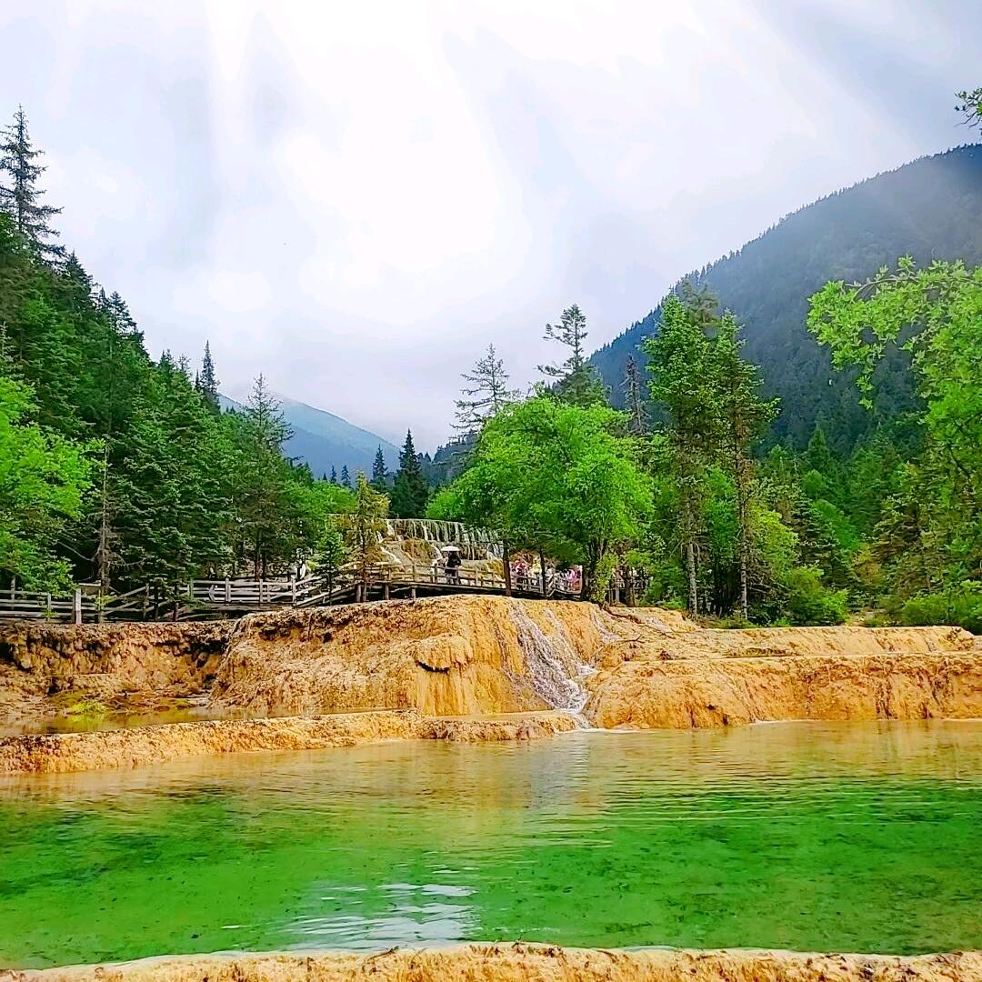 一鹿🦋紫金٭ˡᵒᵛᵉ