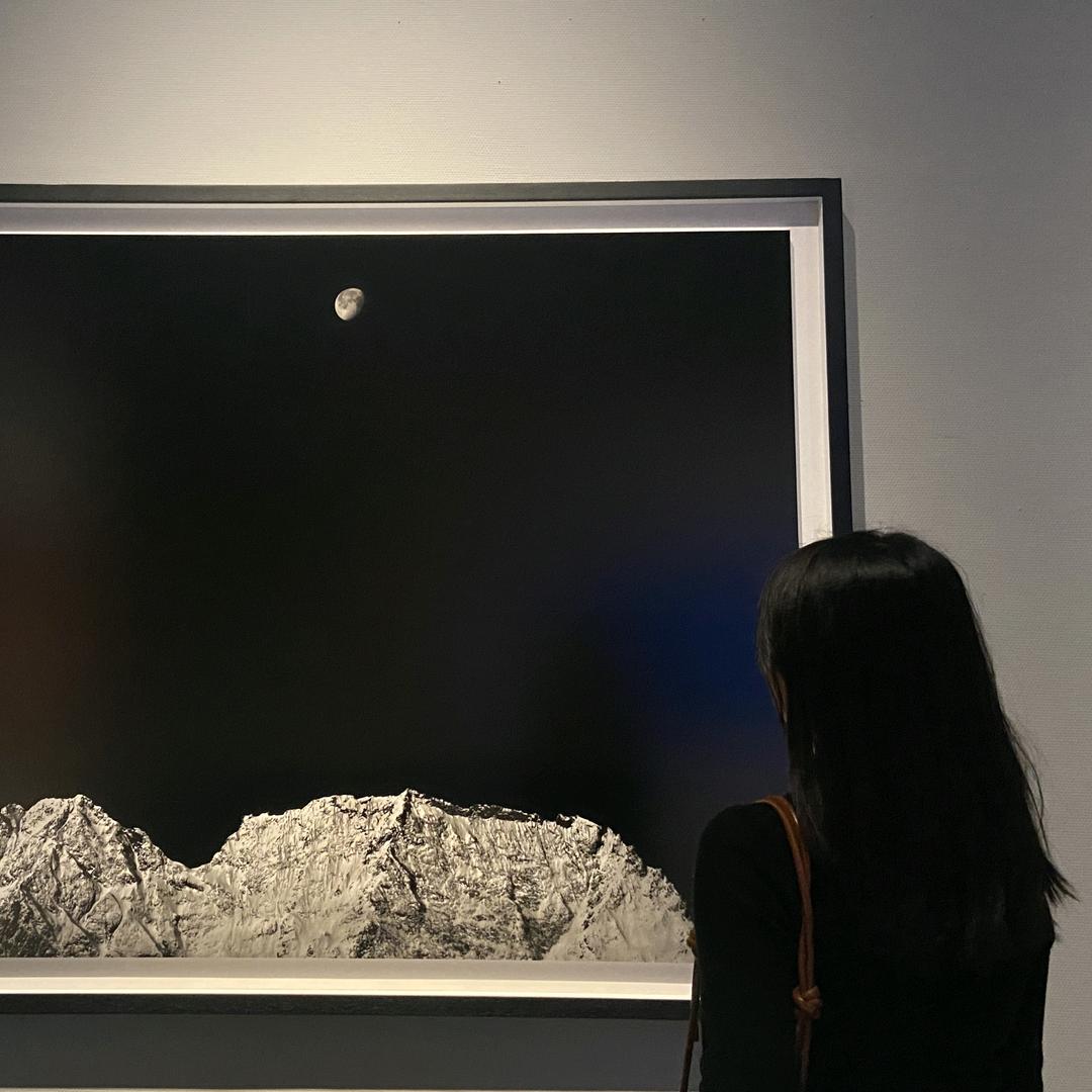 翻滚的小笼包