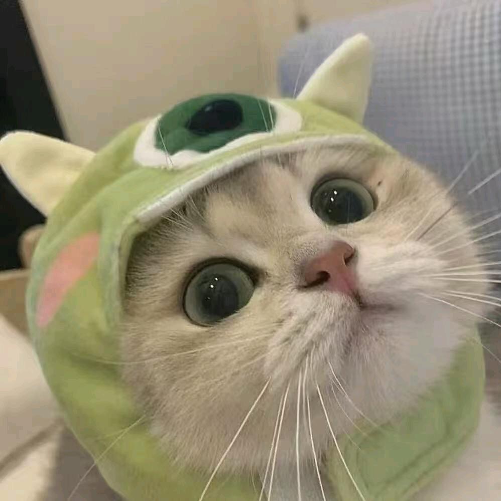 小耳朵.