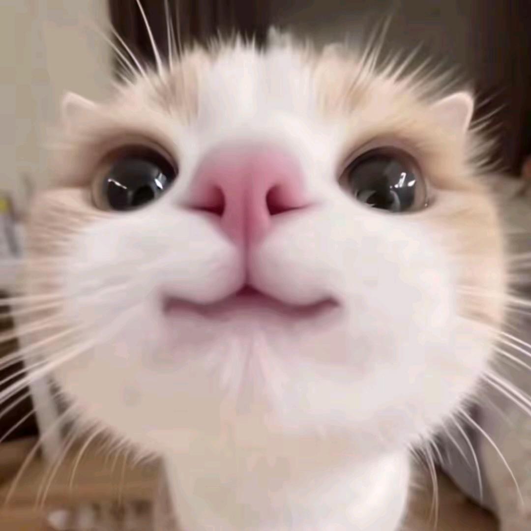 初一