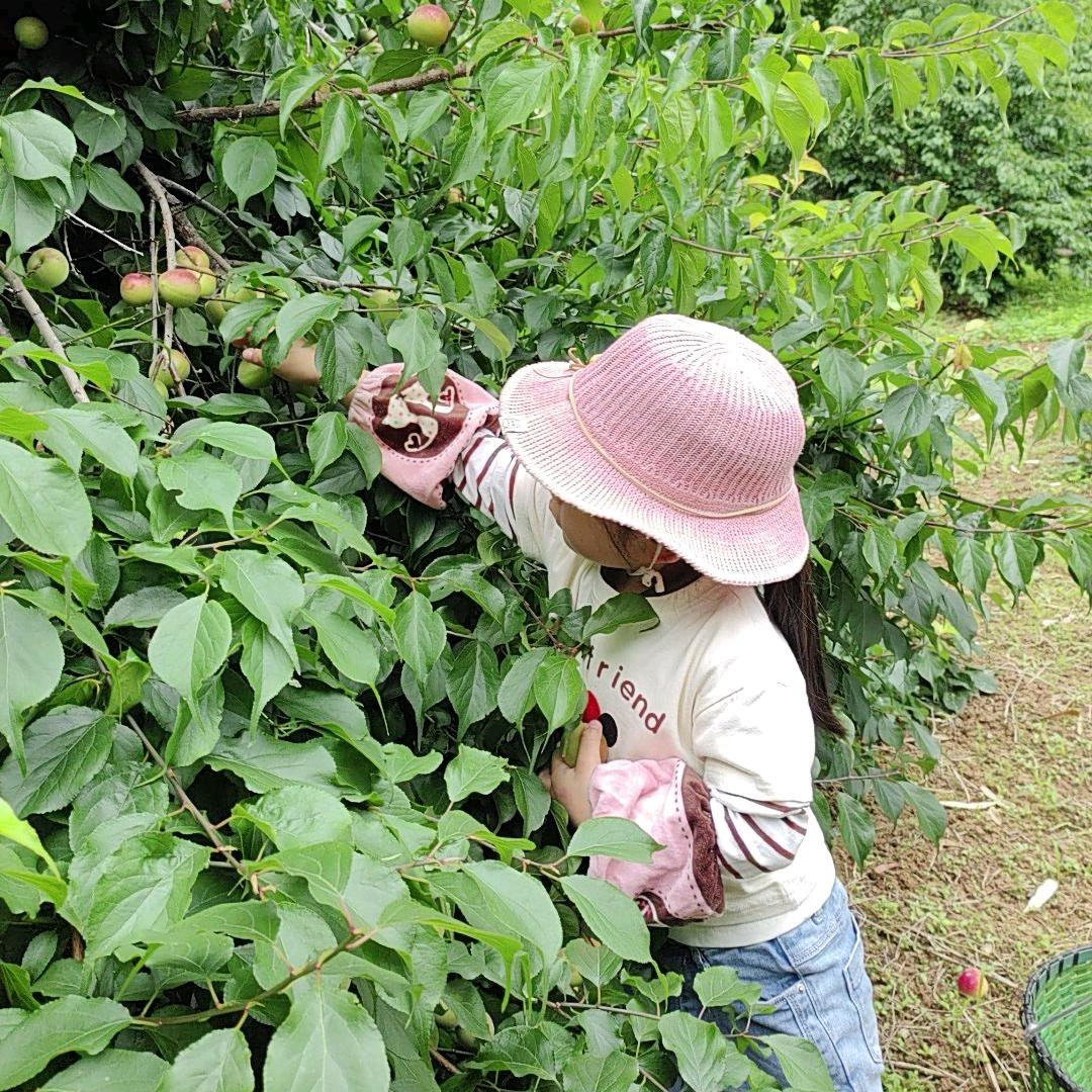 ღ᭄💞ꦿ꯭꧔ꦿ᭄江家菇涼💋এ⁵²⁰