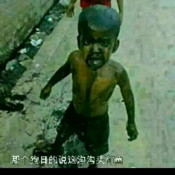 再度重相逢（五哥）