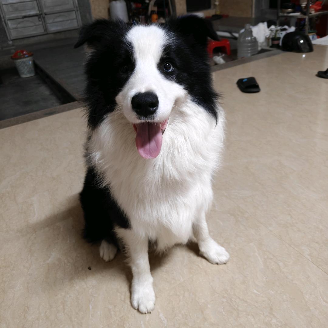 好热哦