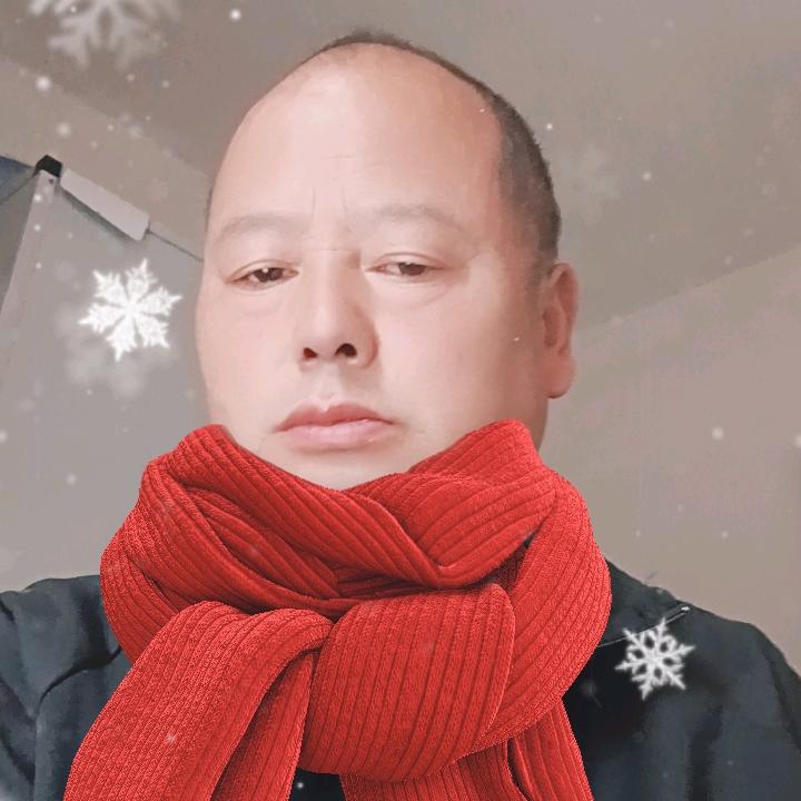 陈鱼落雁