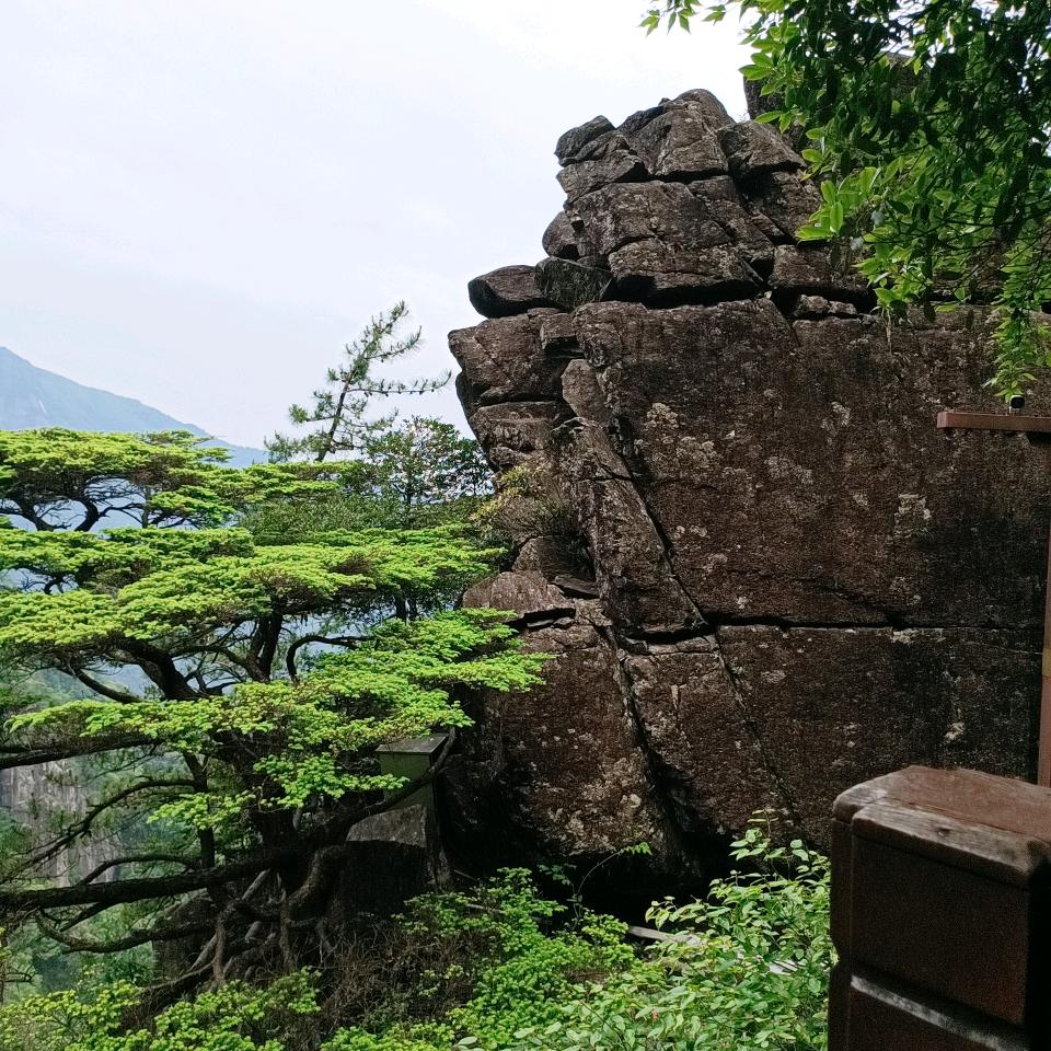 石材先生