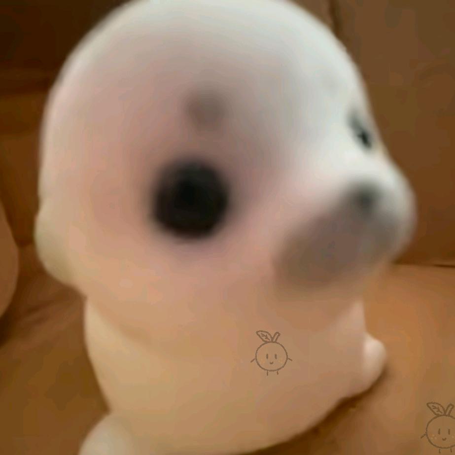 真心（省钱版/攻略✉️我）