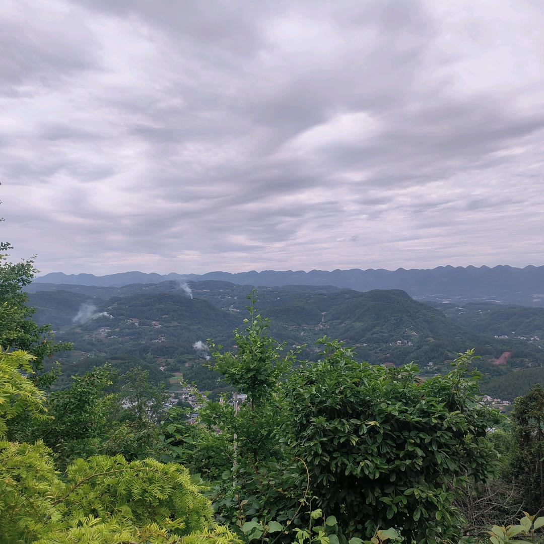 🐑⁶.₃勇哥℘࿐