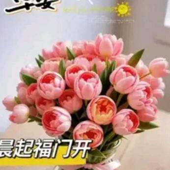 灯一盏