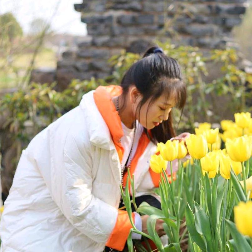 鲁台你小妹