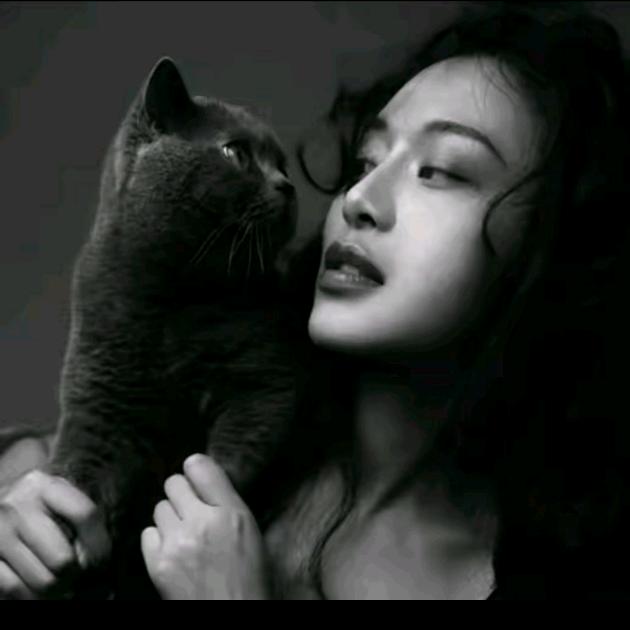 马乖-直播爆款返场