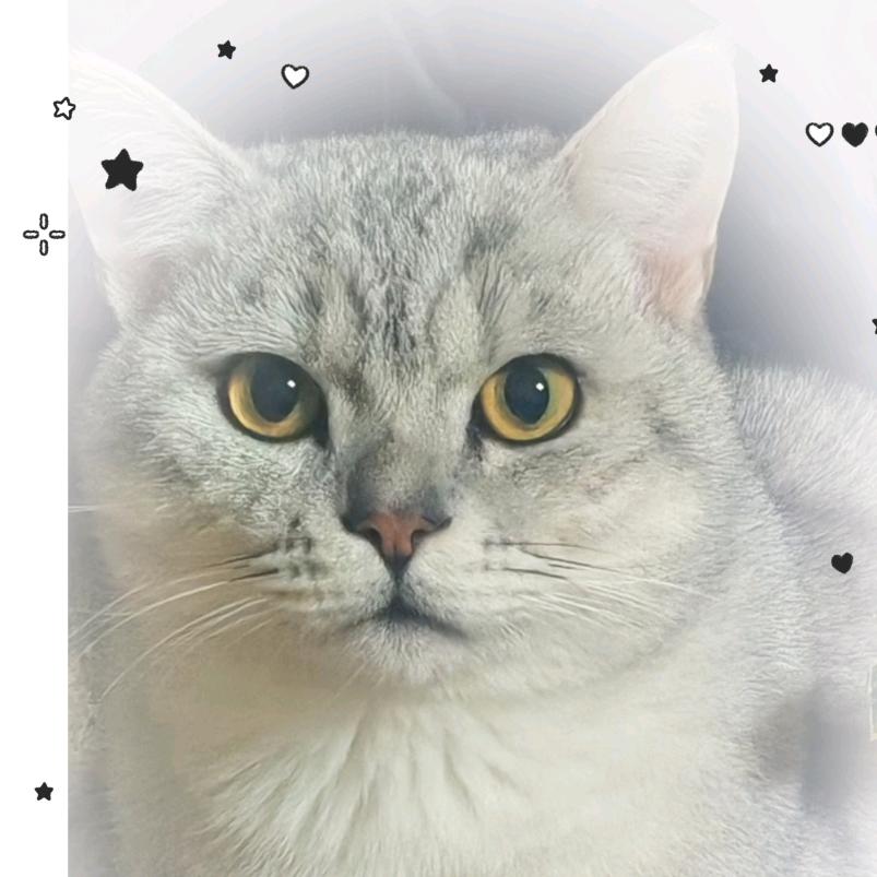 人生何处不相逢呀