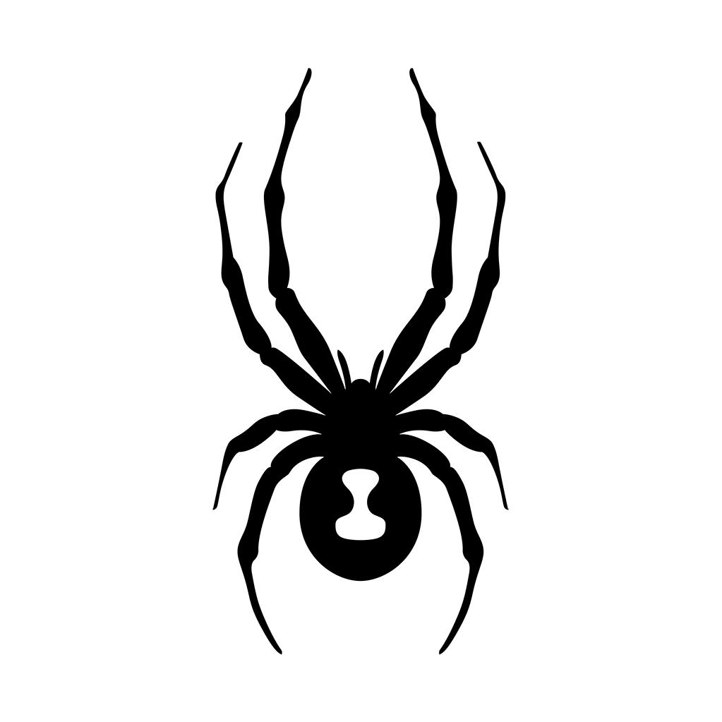 SpyderCHINA