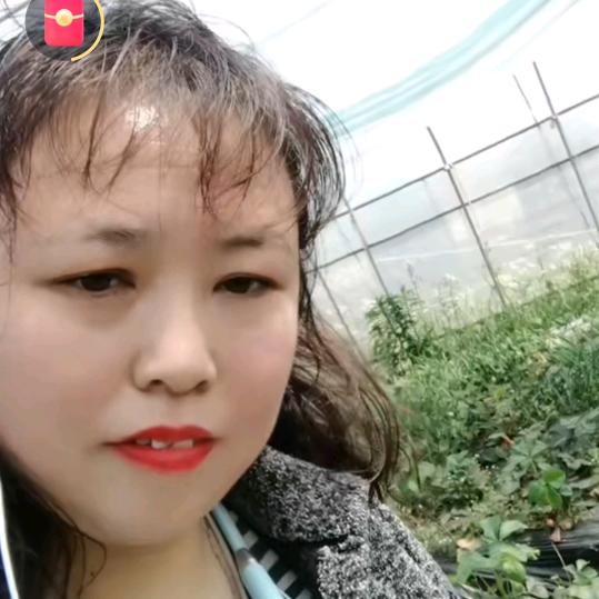小陈艳