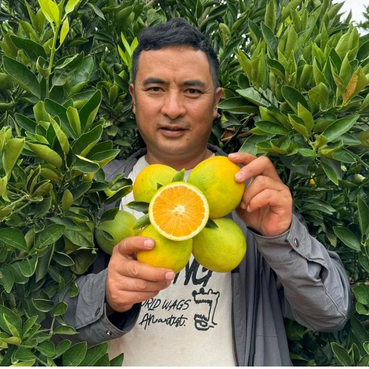 神秘哥（云南淋可可亲家）