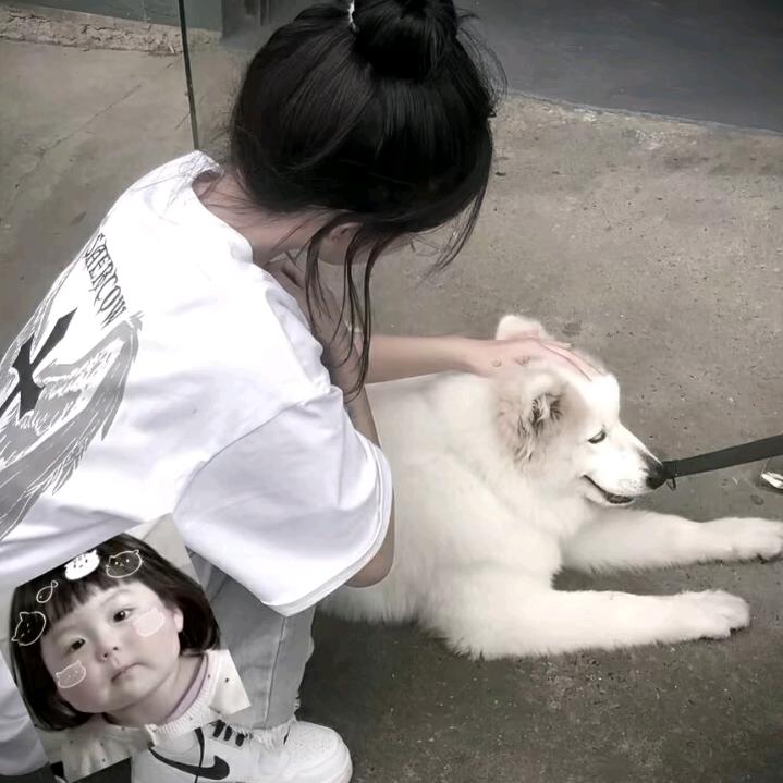 雅鹿泗洪店糊糊