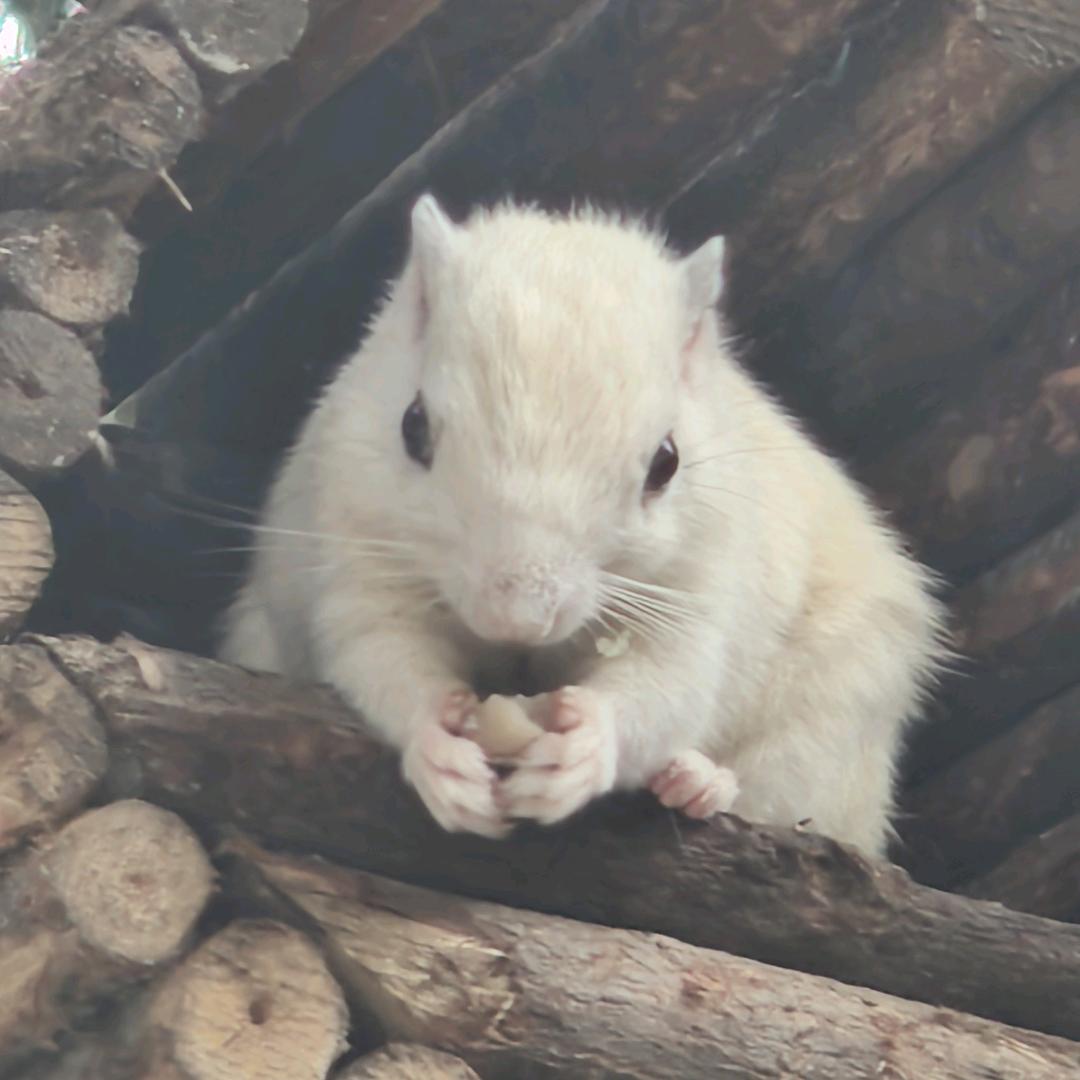 ꪜiρ⁰¹ᝰꫛꫀꪝر我叫睡不着