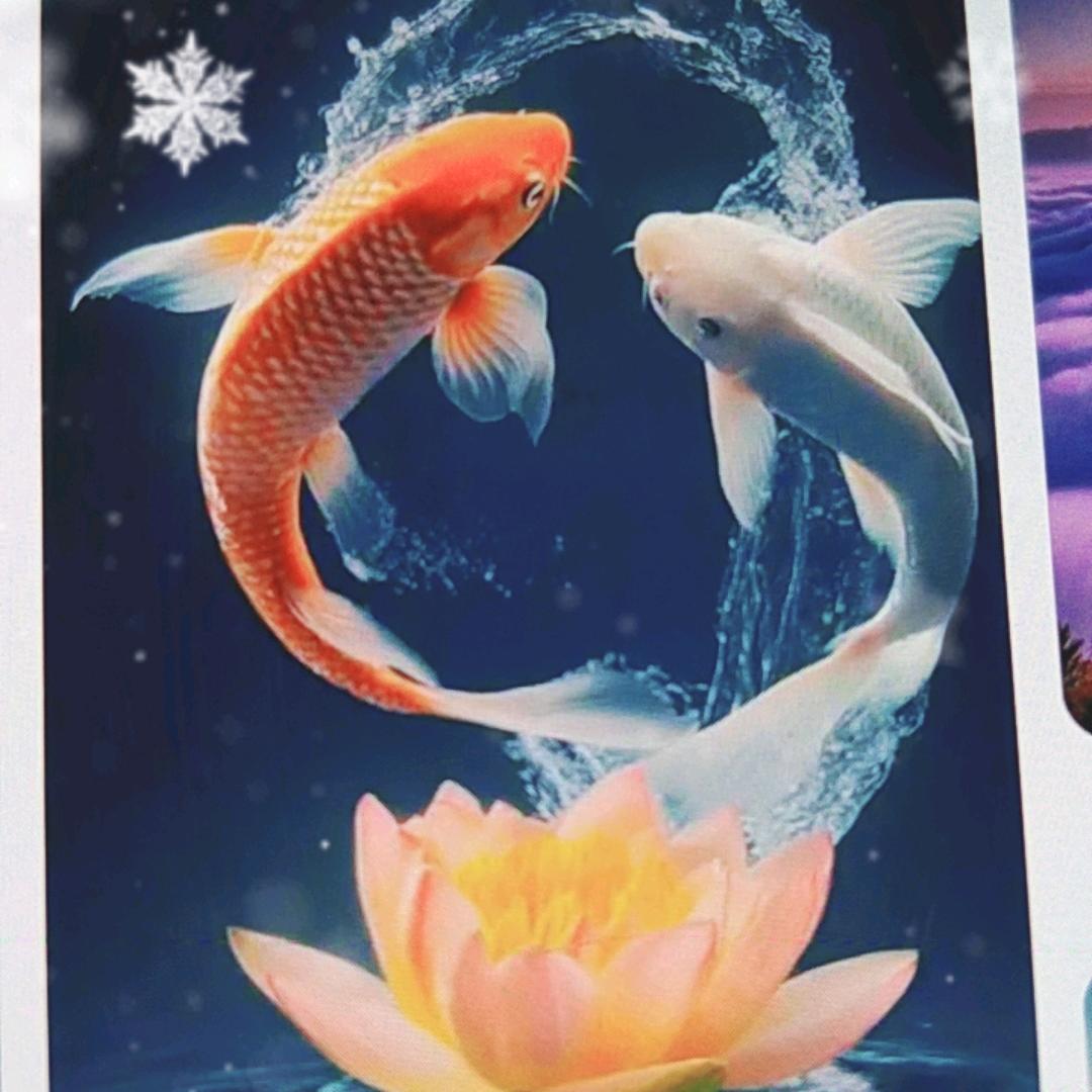 梦在心中尽秀娟