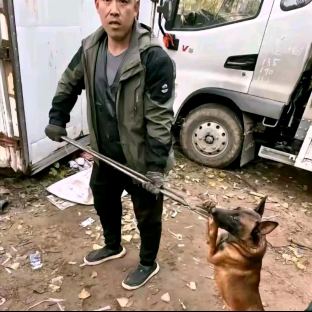 永川专业套狗唐师傅