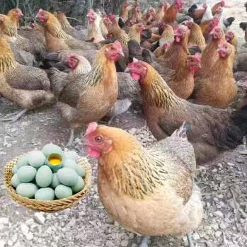 优鲜 农产品