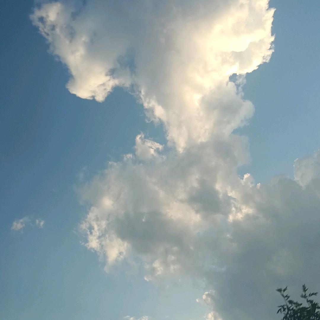 园来是你