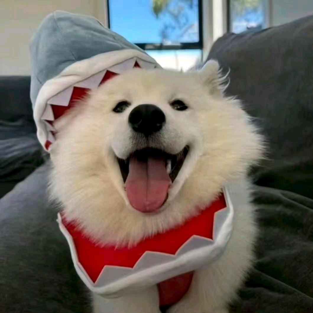 奶绿大王＿ⁱⁿᵍ