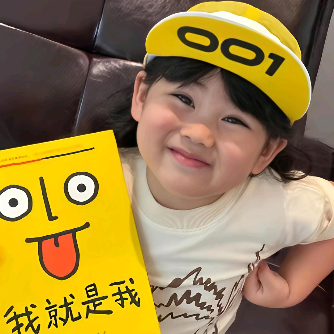 消失的下雨天zZ