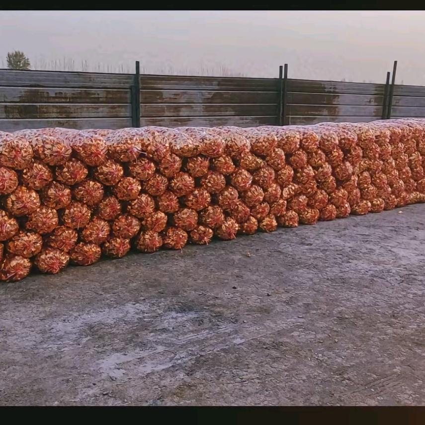 元宝代烧及各种服务