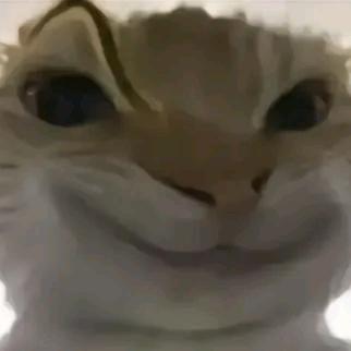 咸鱼酱