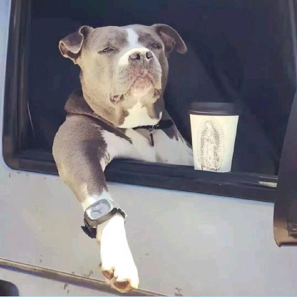 白皓海鲜渔业有限公司