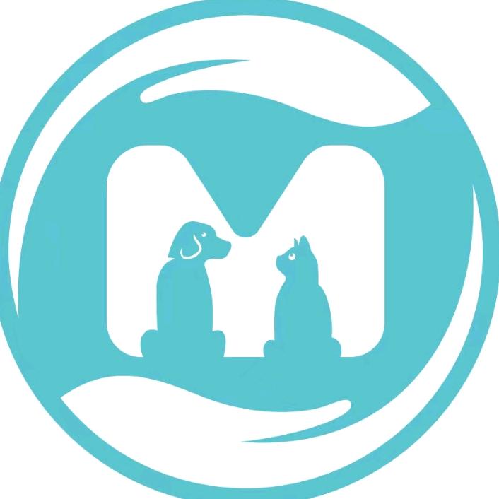 毛小子宠物诊所电商号