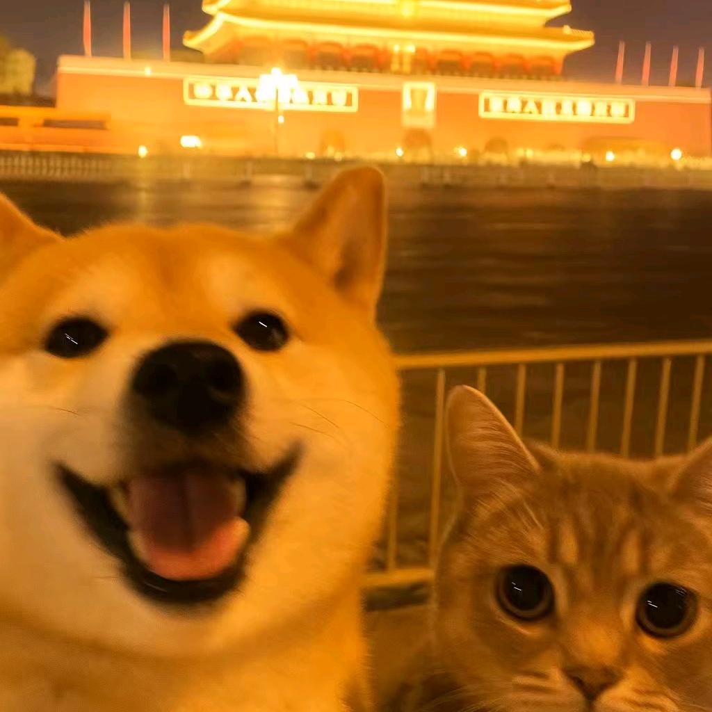 乐夫天命（emo版）