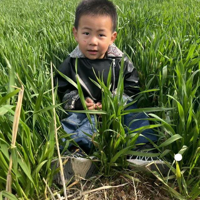 馋嘴小姐姐看好图图魄力吧题