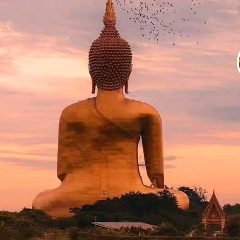 董征