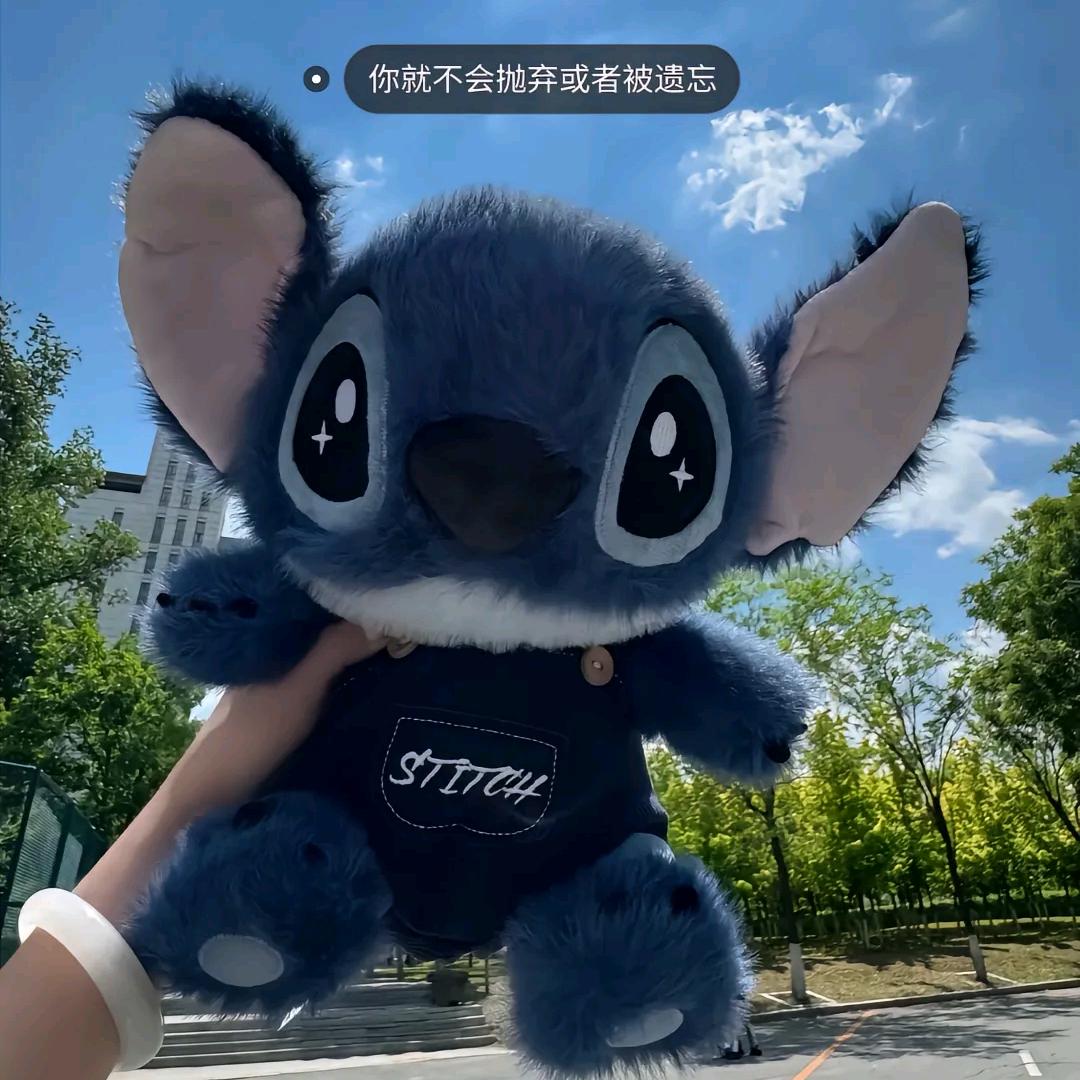 史迪仔的Vlog🦀