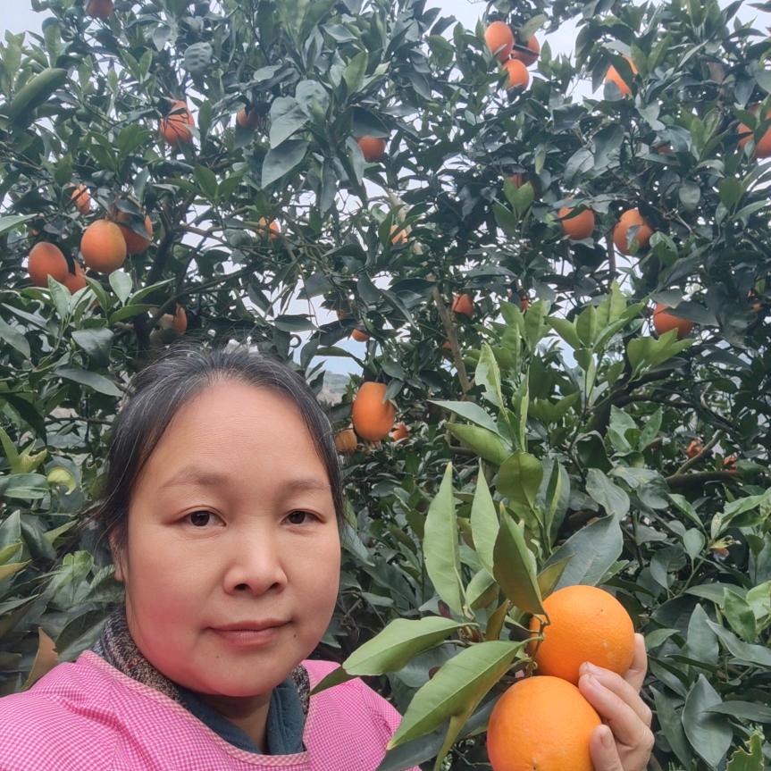 (80后)燕姐(14.15)