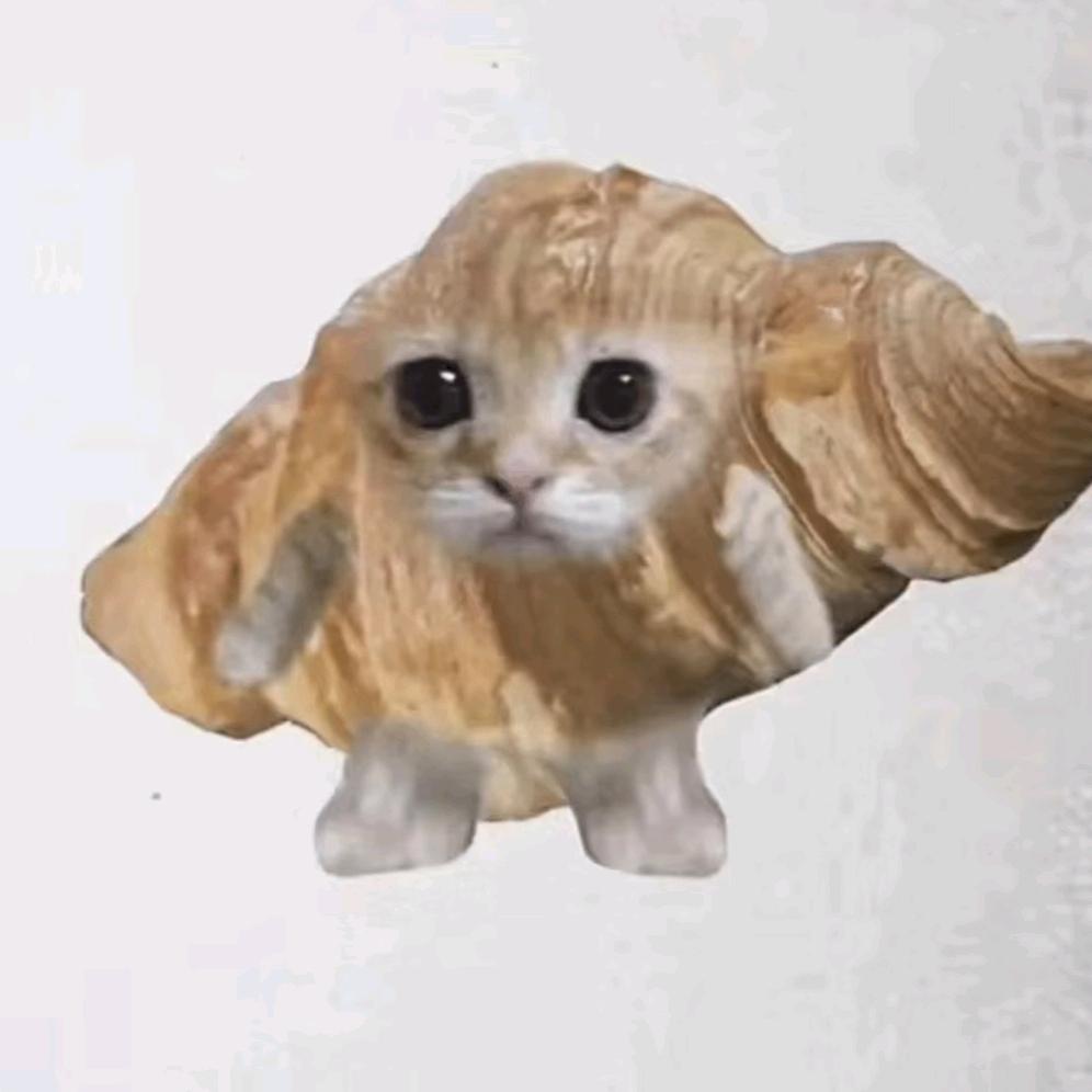 财来洪