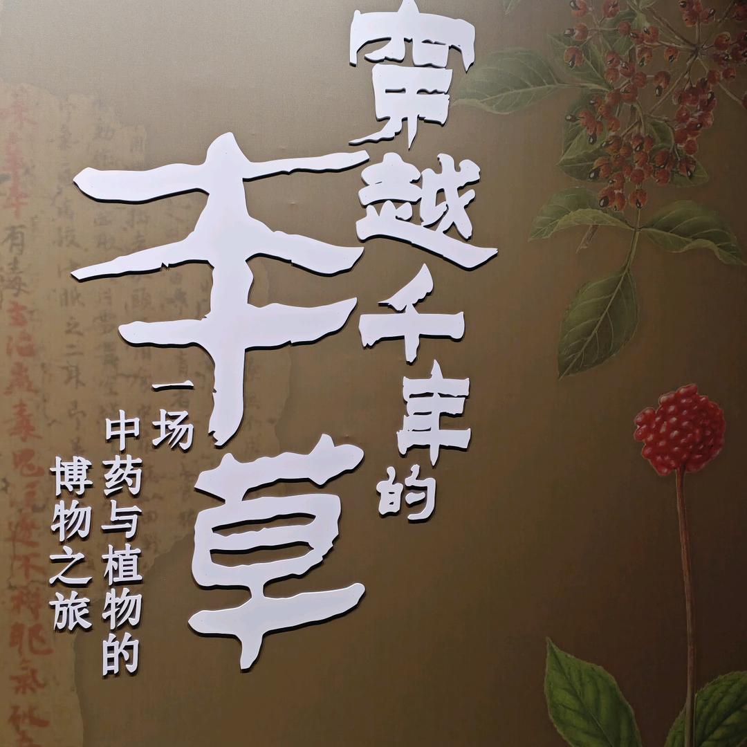 远处的我