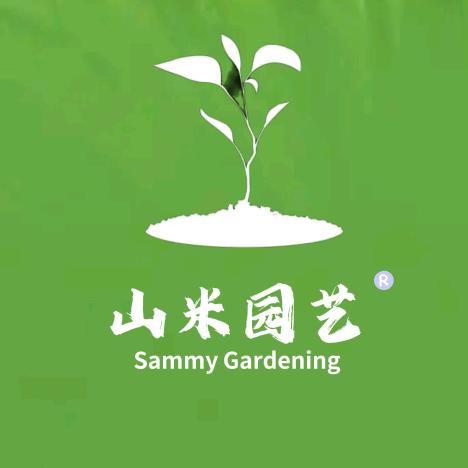 康啦A梦