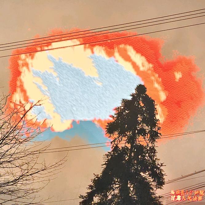 舒月晞头像