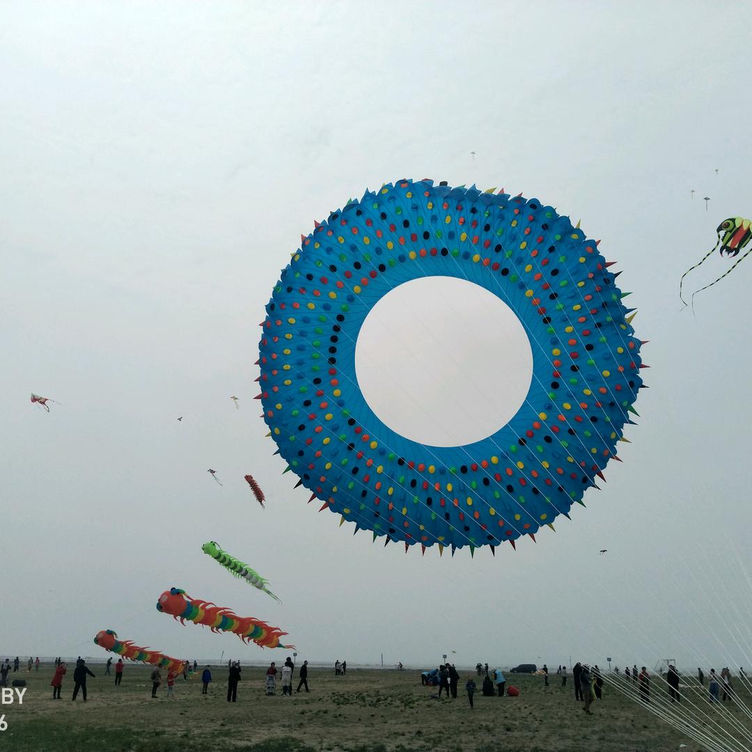 吾孤行