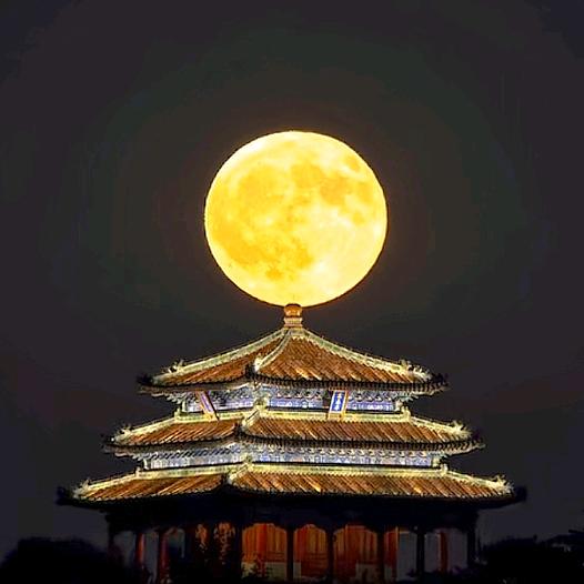 离歌