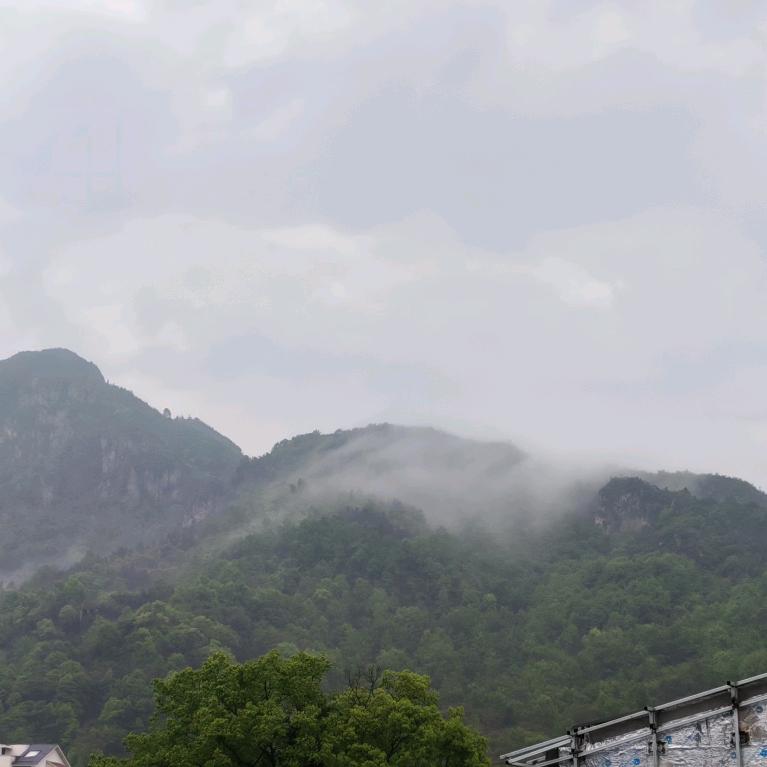 萌萌牛