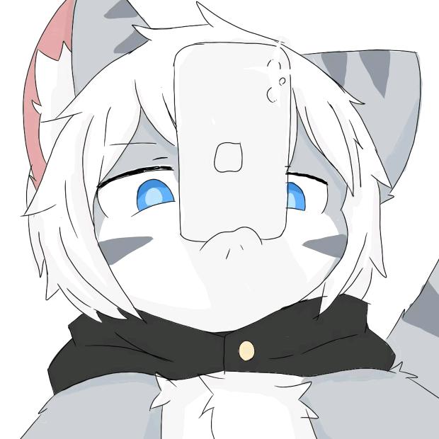 淘帅哒