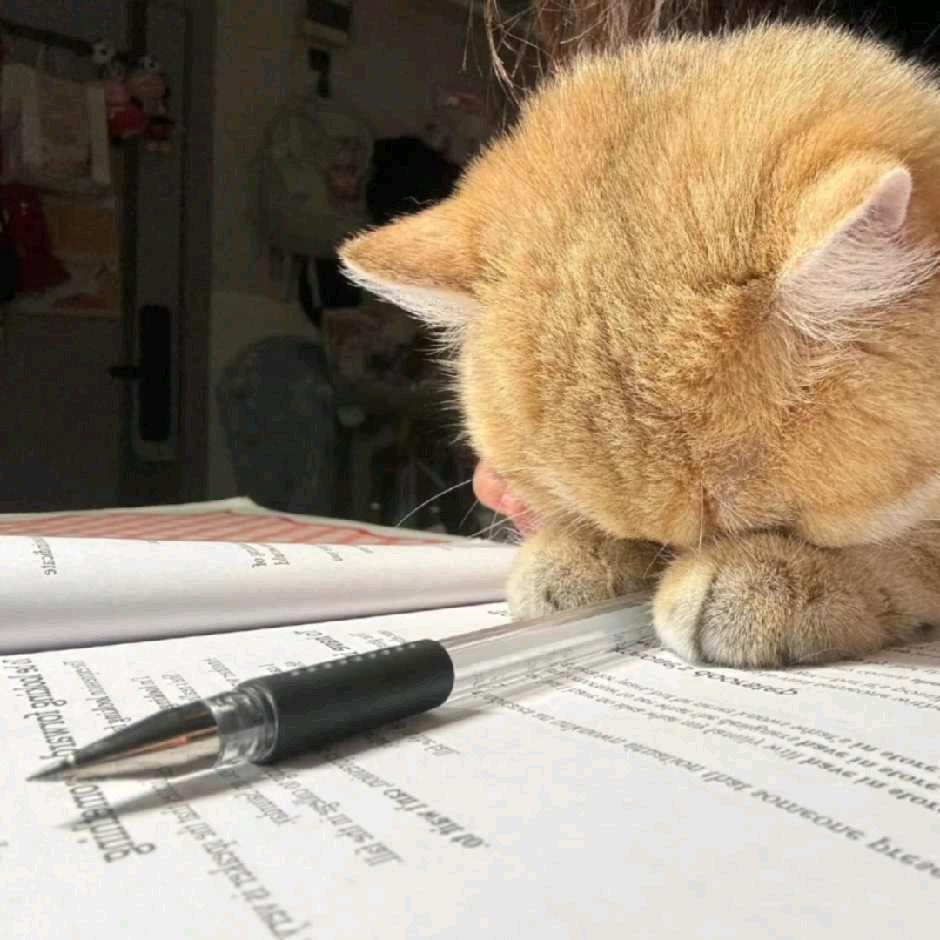 小也（毕业自驾版）