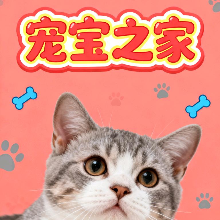 宠宝之家